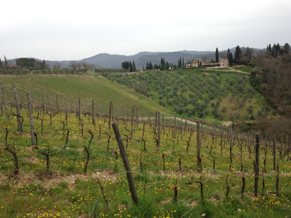 best vineyard chianti classico